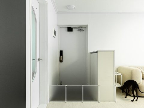 철재 방화문 FDG-510 화이트 · 푸쉬풀 ADL-701 — 현관중문 없는 집의 현관문 교체
